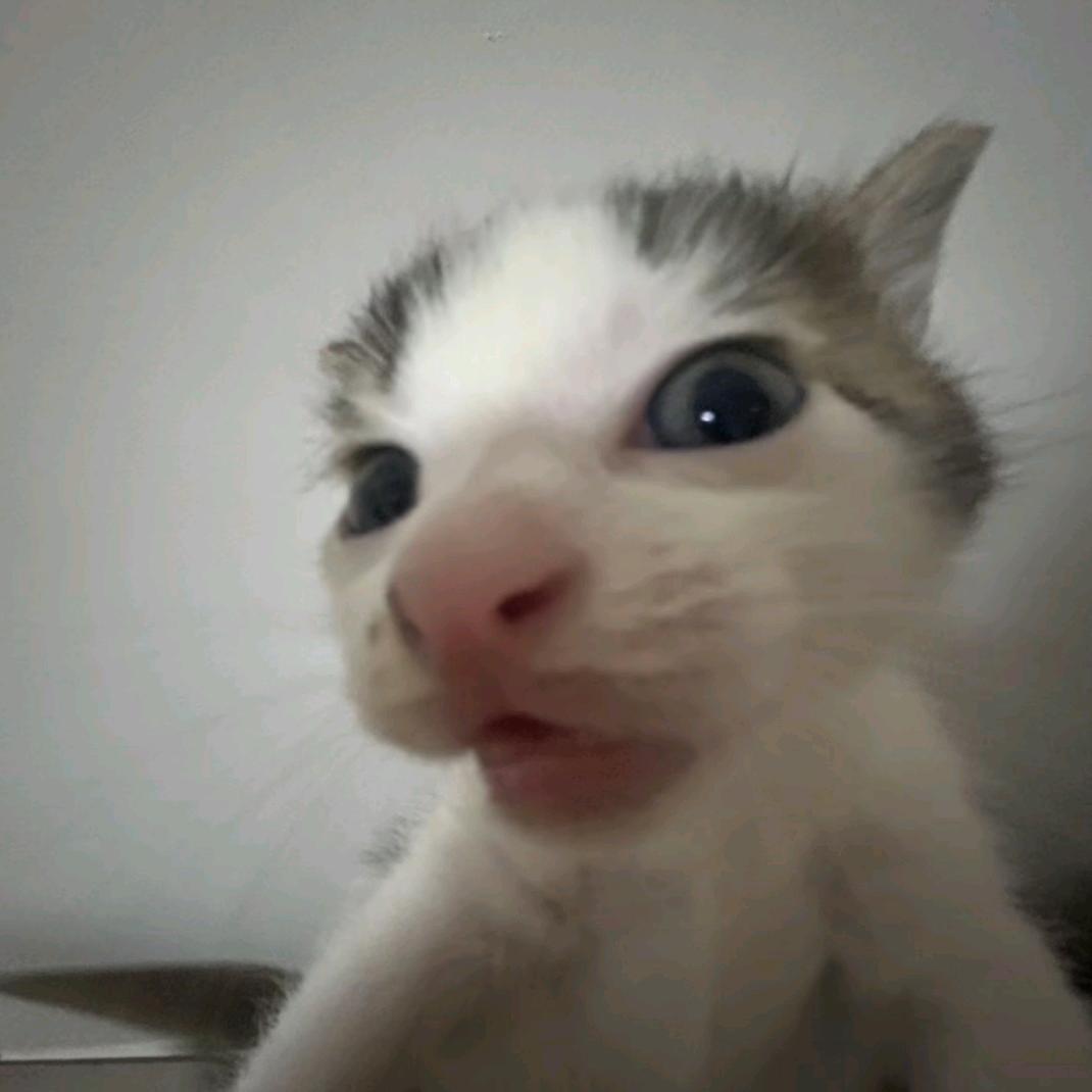 让我看看怎么进步