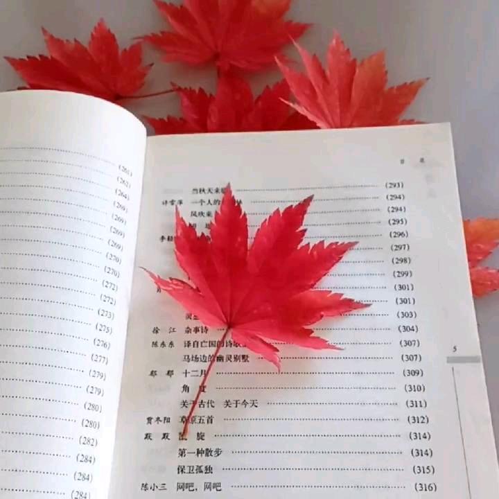 @✎﹏ℳ拾光💘 ࿐