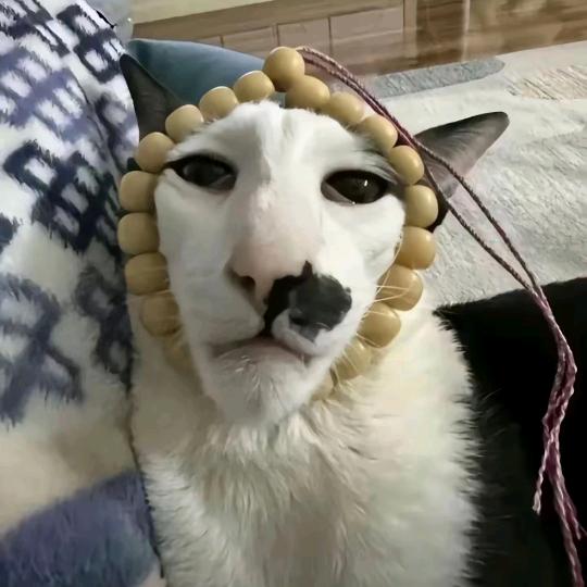 耍帅被肘击