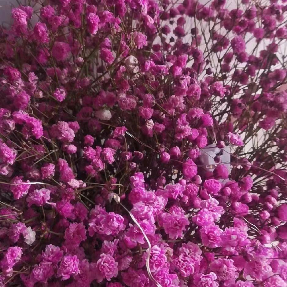 💞笑而🎼不语🎶