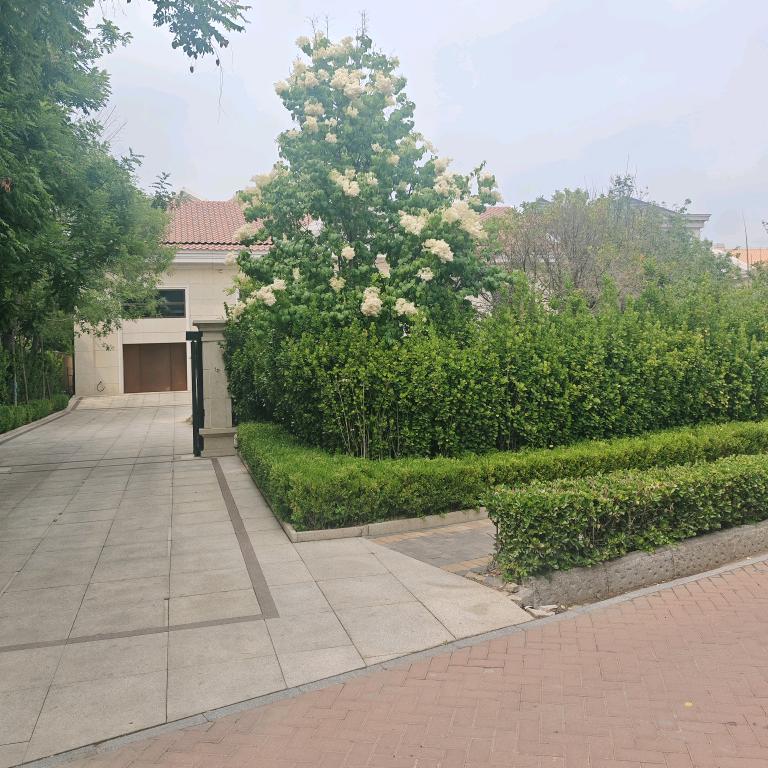 未来へのコミットメント