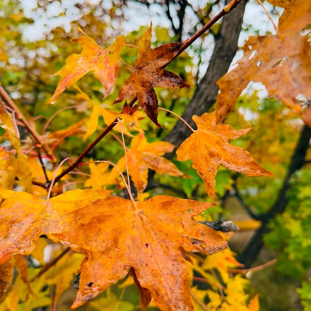 人生如戏ಢ拒绝私聊