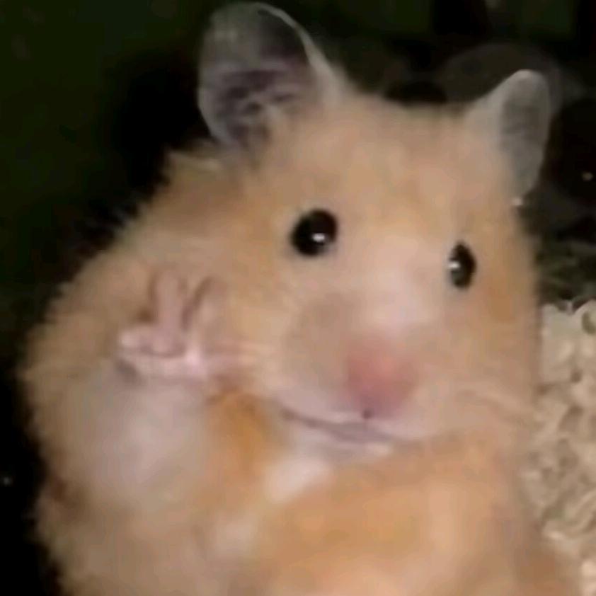 穗穗