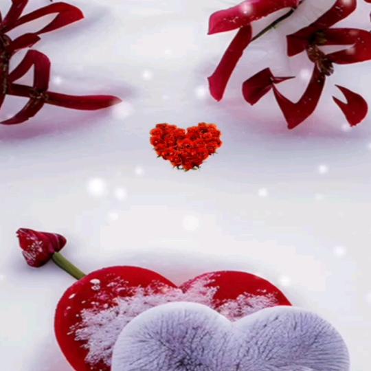 上虞强哥