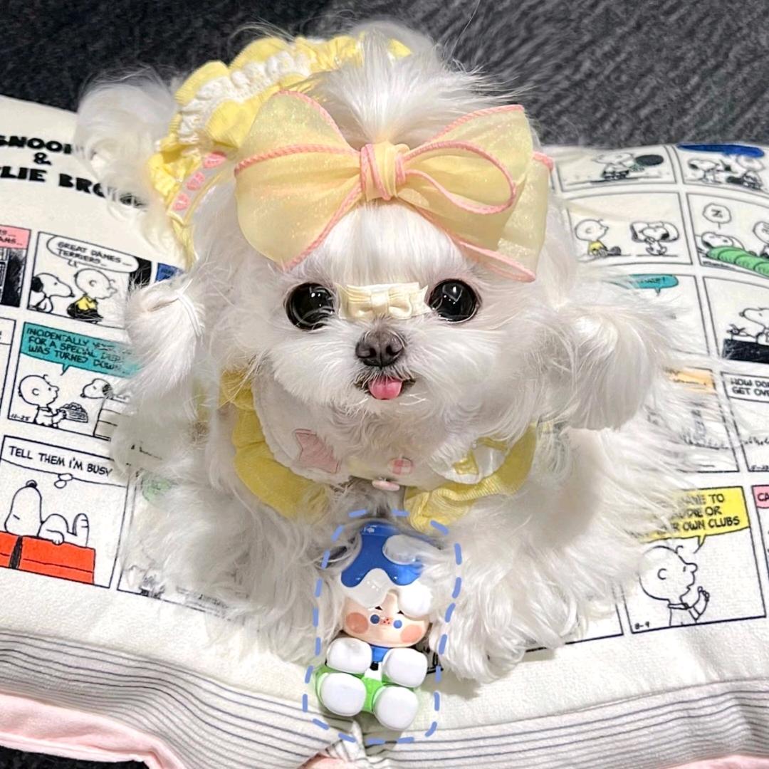 宇安