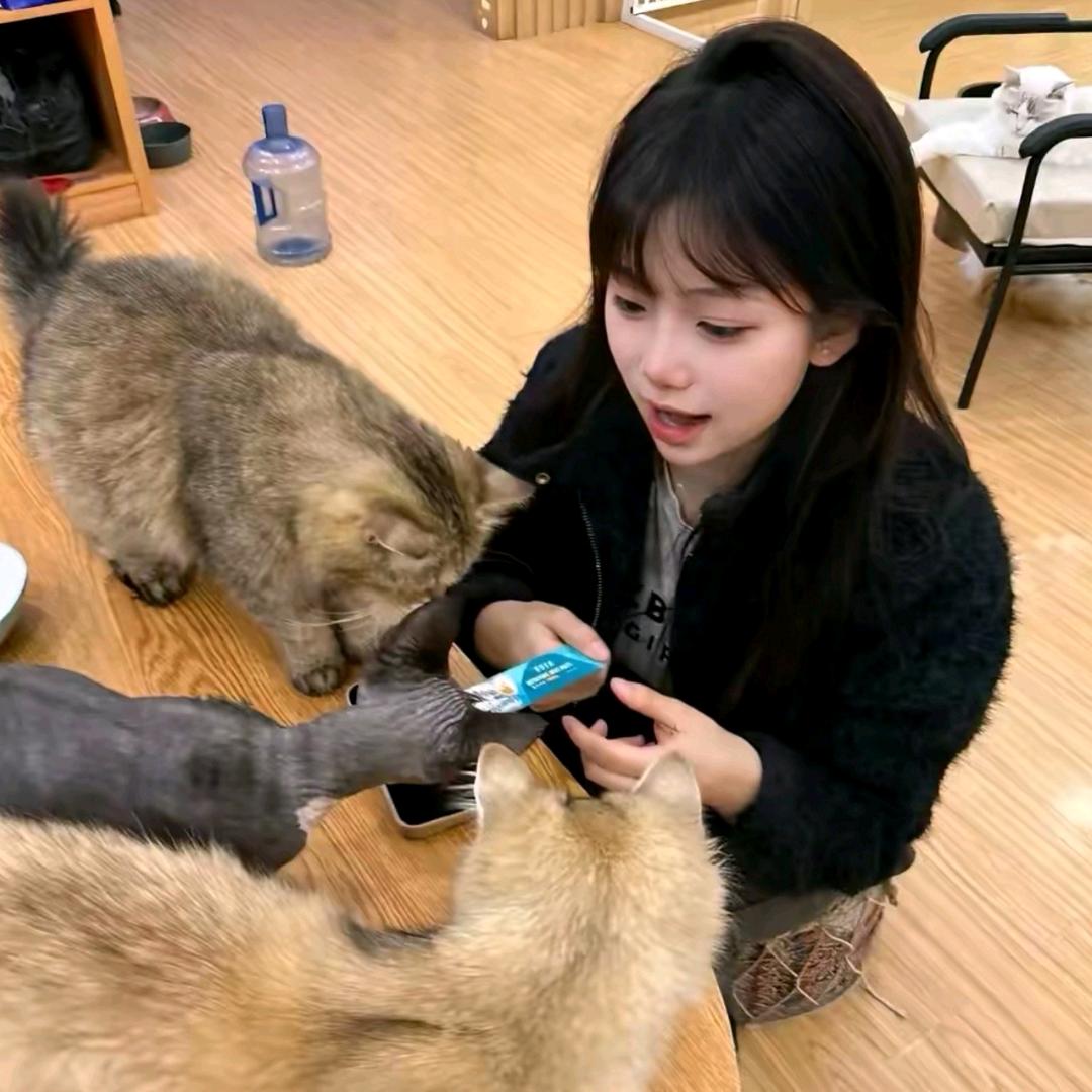 ♟ 小师爱吃香菜吖💁