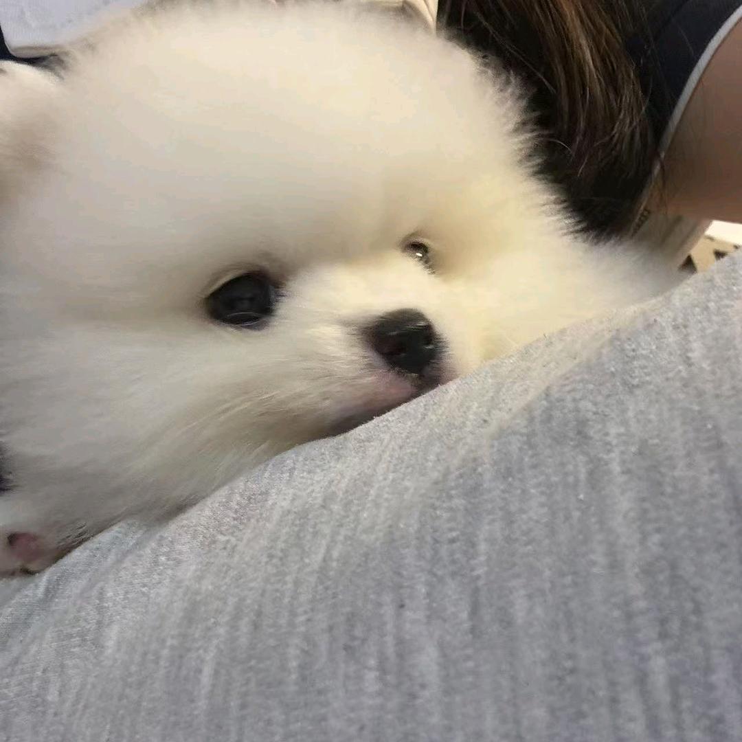 小汐千金不换