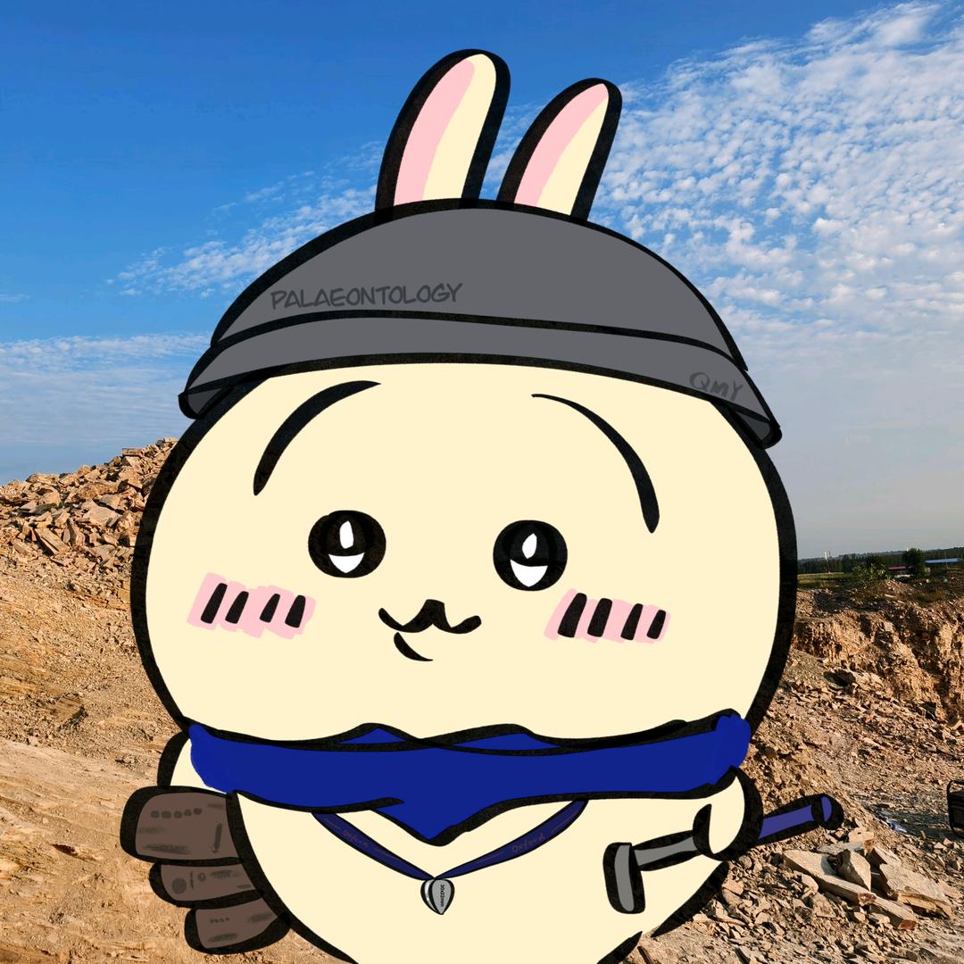 披星戴月了吗