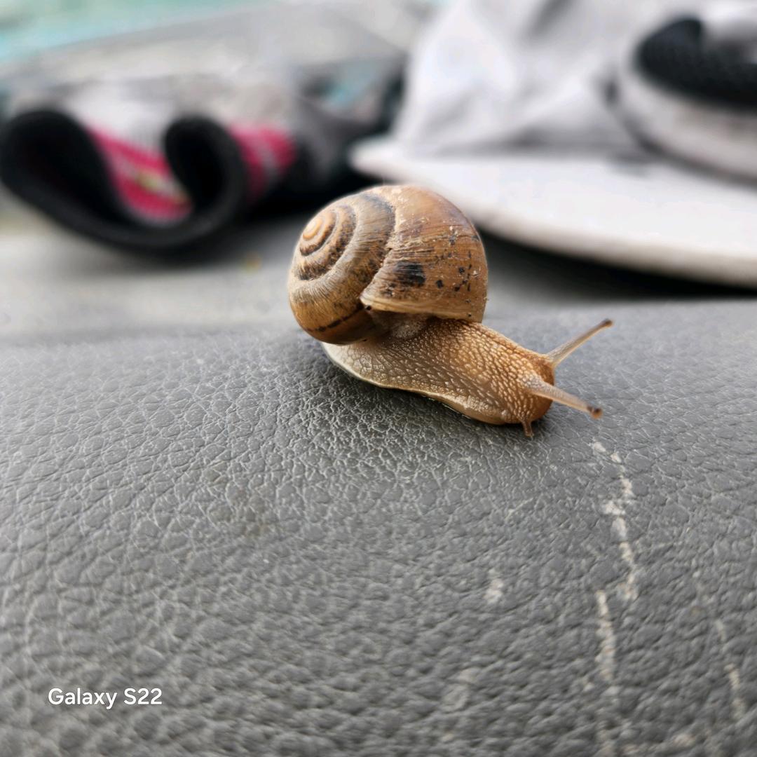 好好了