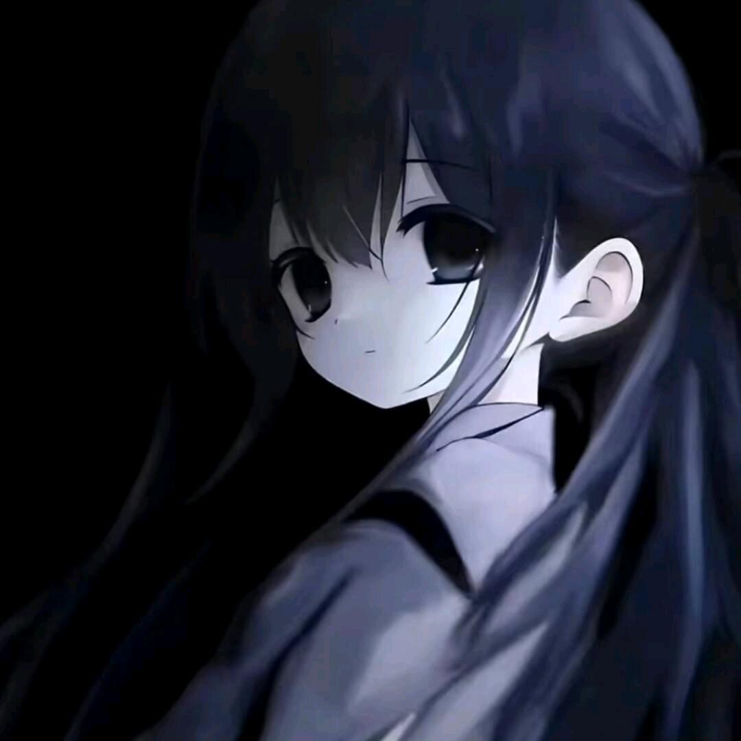 招财露宝
