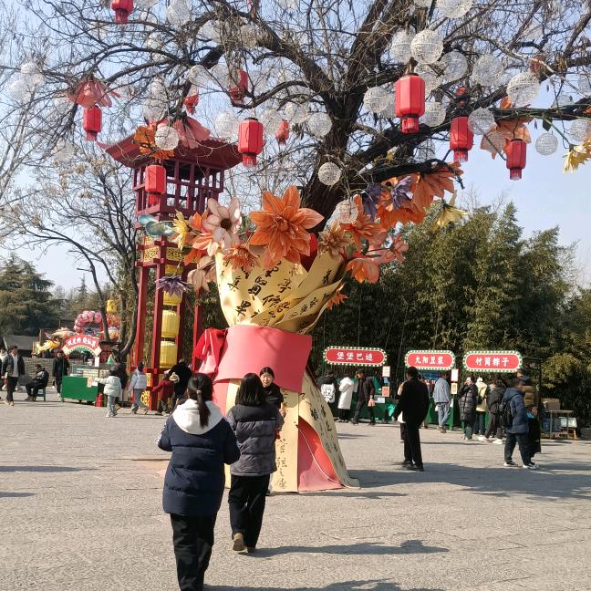 幸运草🌿🌿🌿