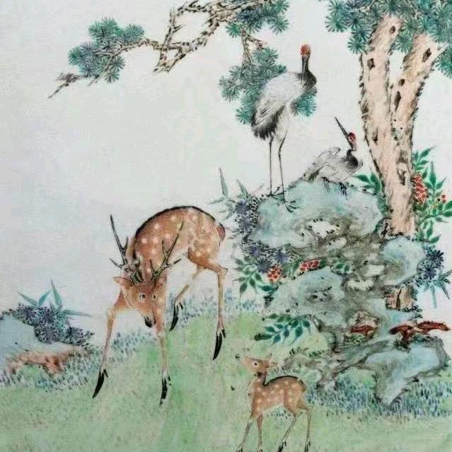 向阳而生🌻