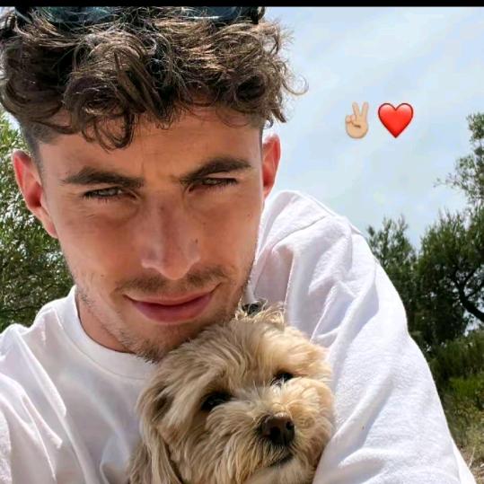 人中之吕布小戈（日常号）