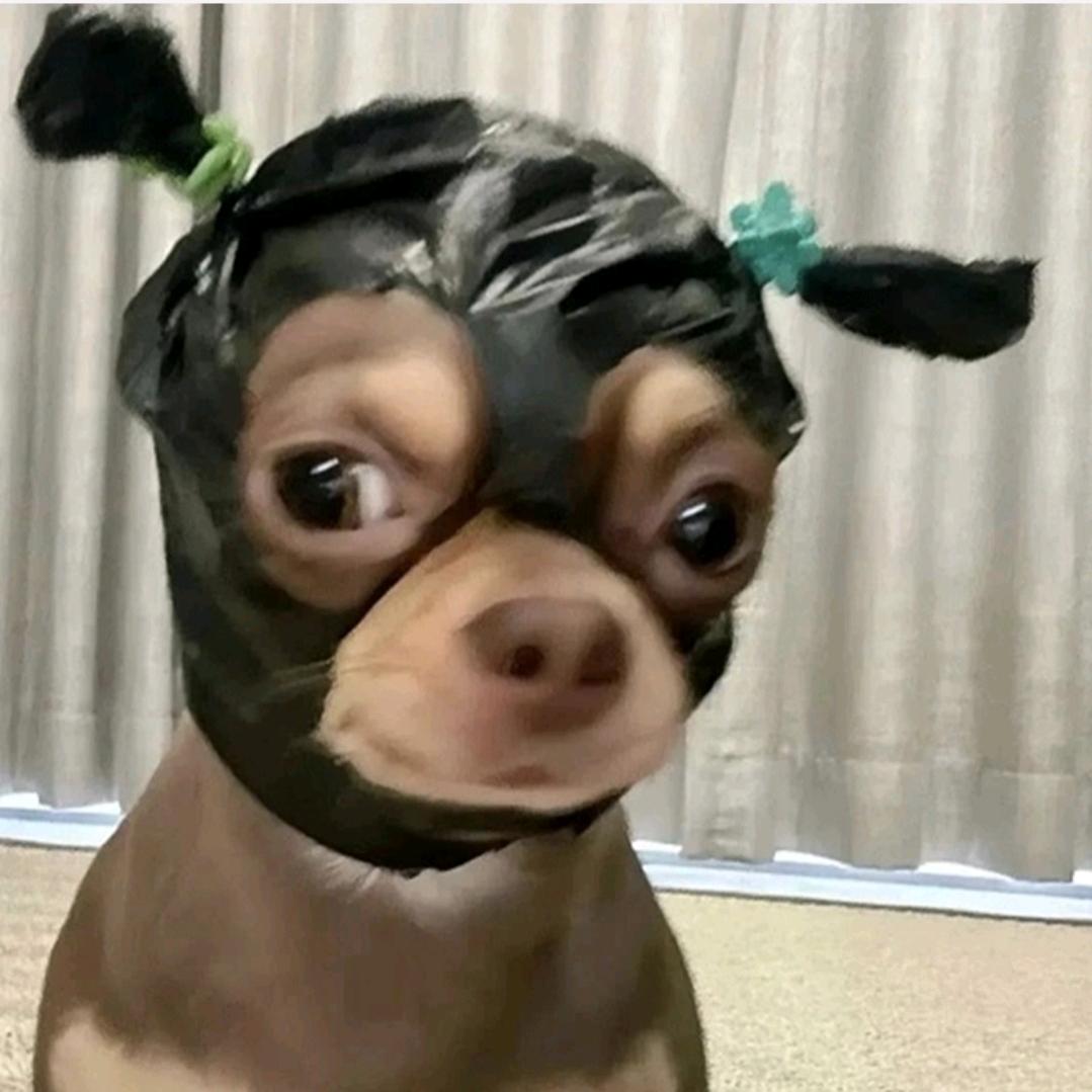 辣椒