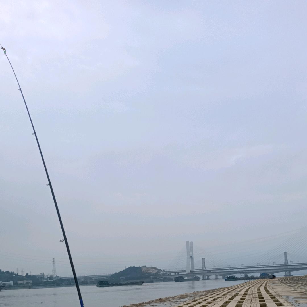 可乐，
