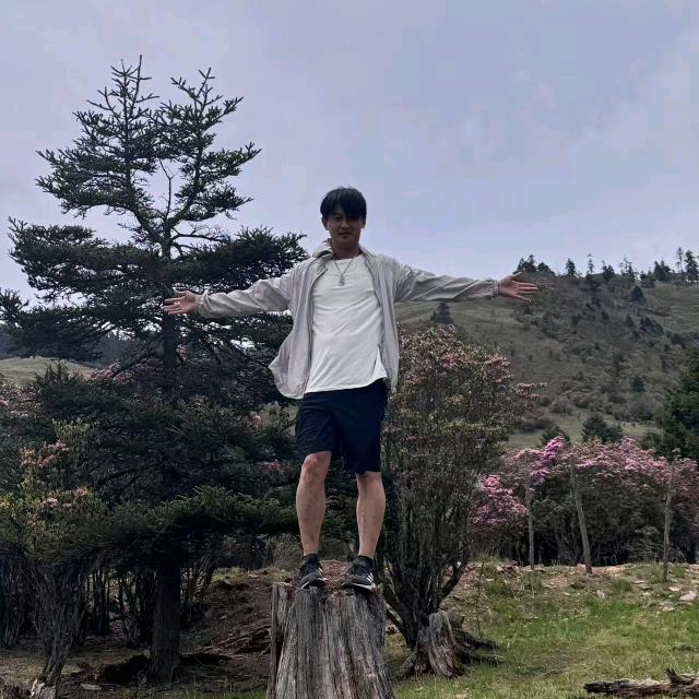 阳光军