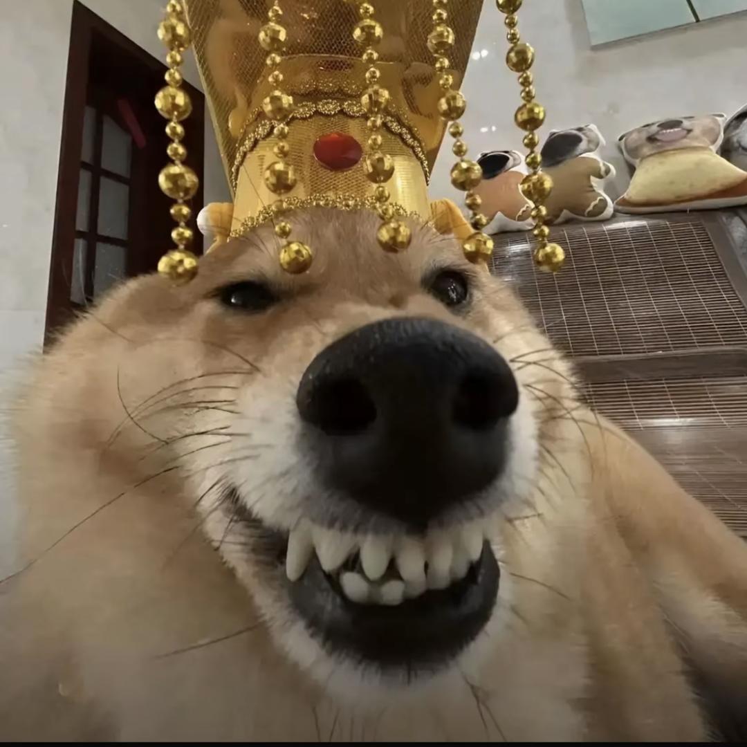 情侣终结者