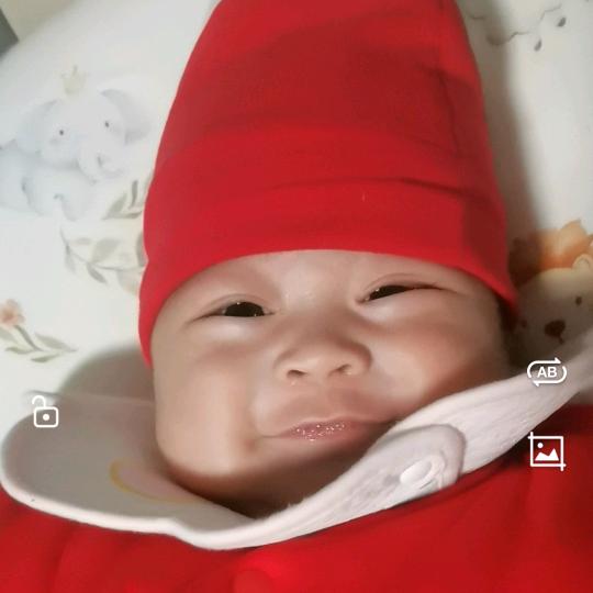 紫🛐砂💲壶🍯