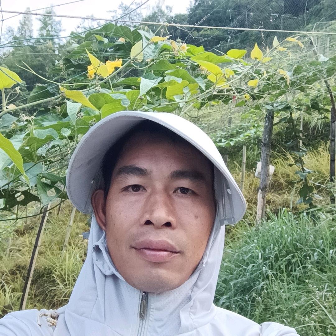 一生一世一双人