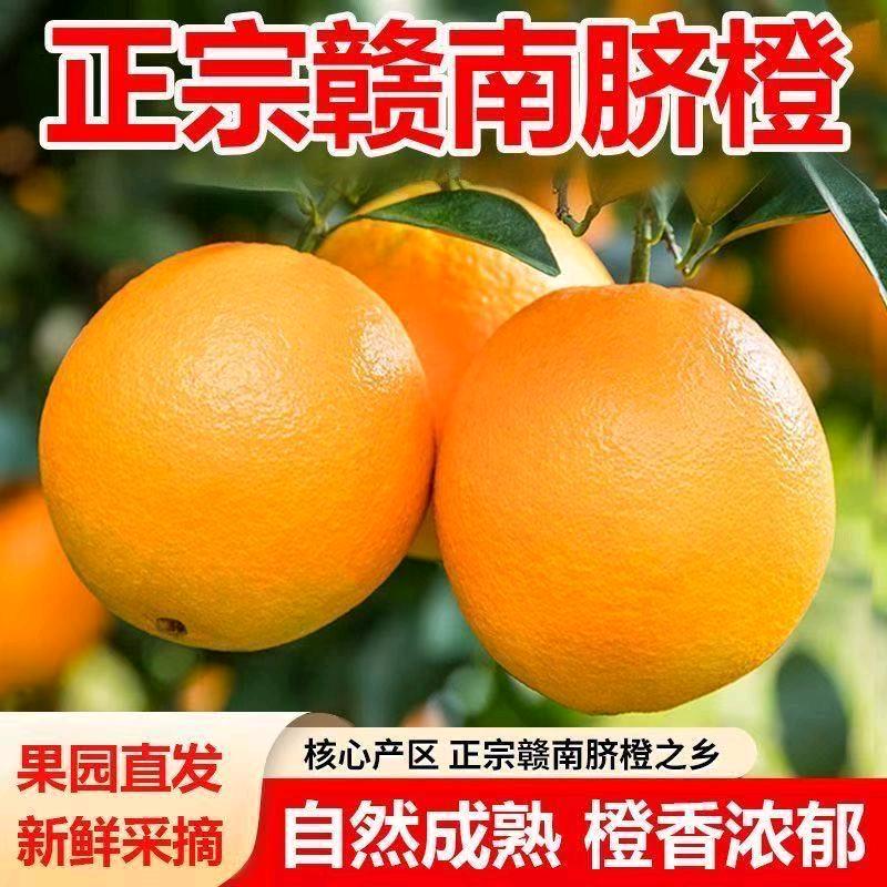 小橙子江西脐橙果园