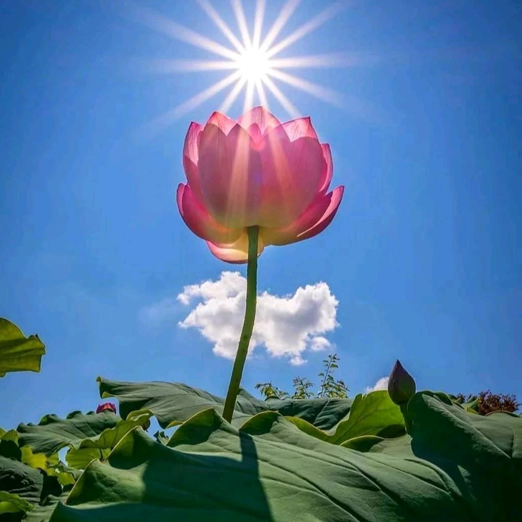 国粹麻将机维修安装