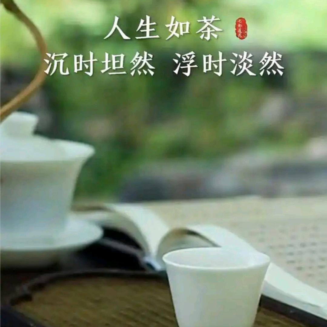 青茶