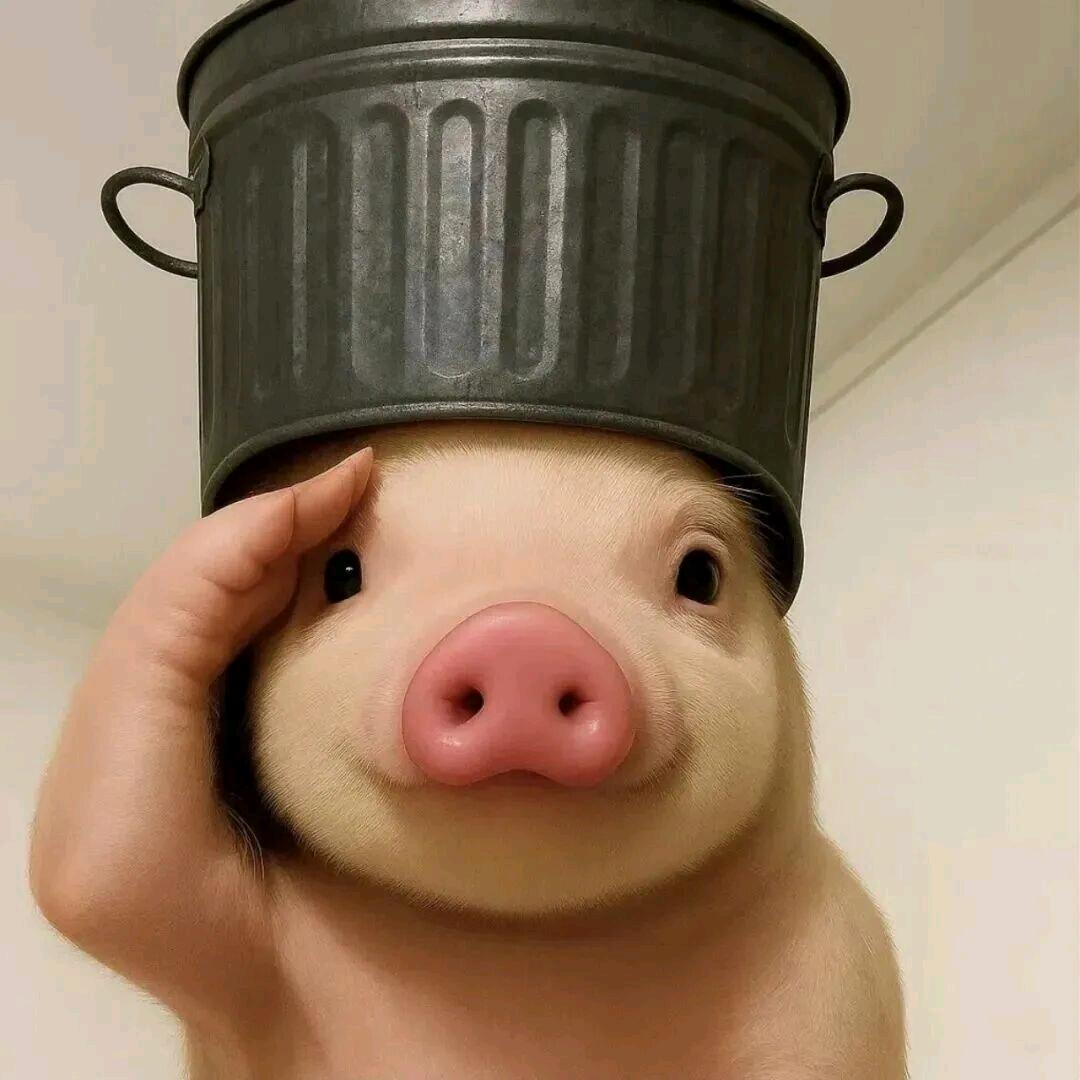 请让我埋葬在阳光之下