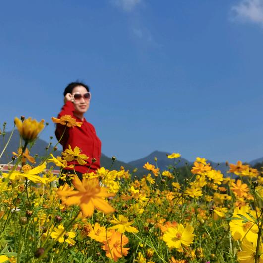 康泽大药房
