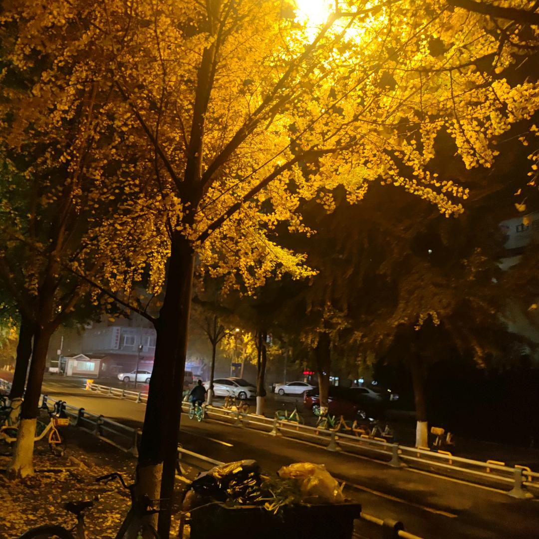 老小伙（王者荣耀）
