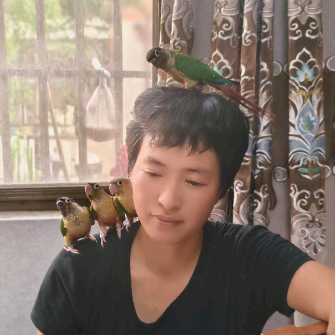 老鲁