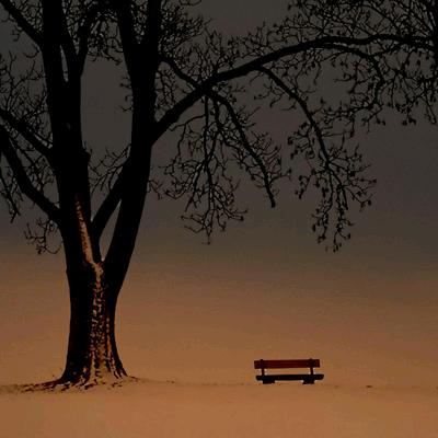 ——长叹落梨花