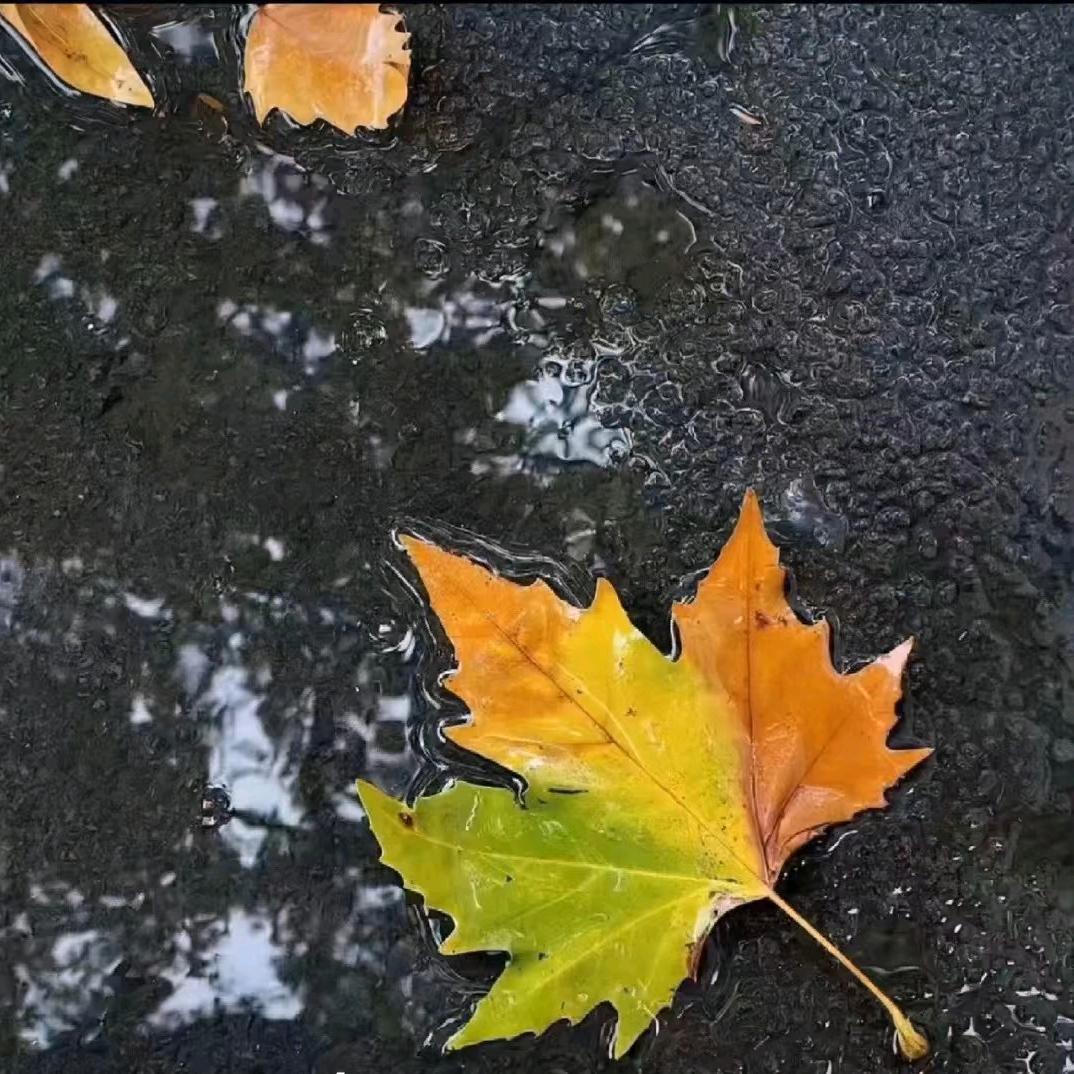 亿心向钱