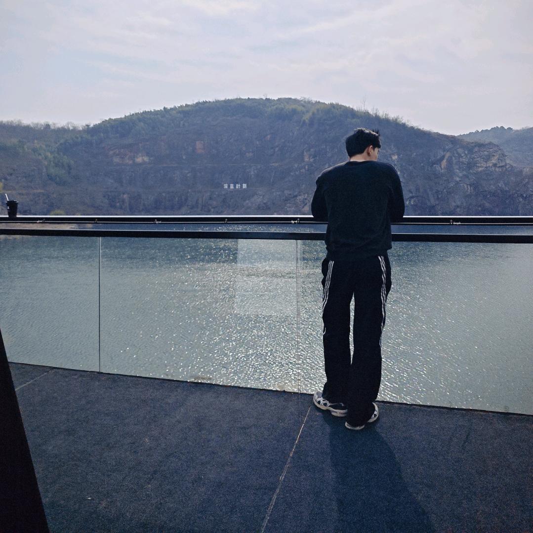 精力旺盛的小蜜蜂