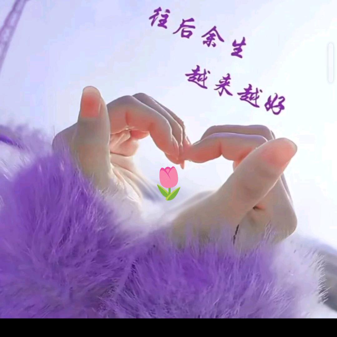 保护膜，美纹纸，网格，滚筒，毛刷，辅料