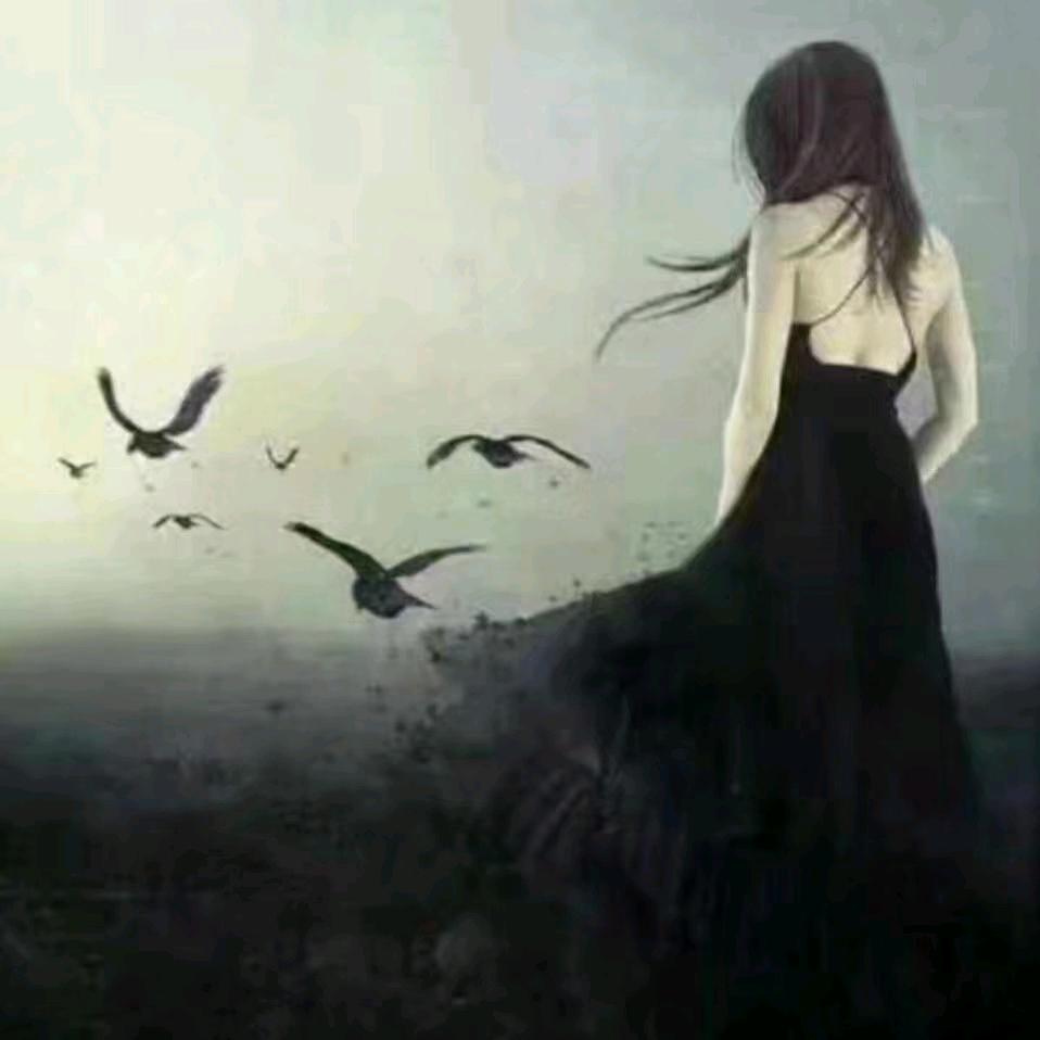 🍀秋风知我意🍀