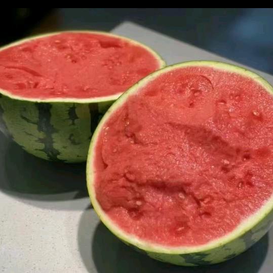 ♞种西瓜的小张  小王🍉《好物在橱窗》