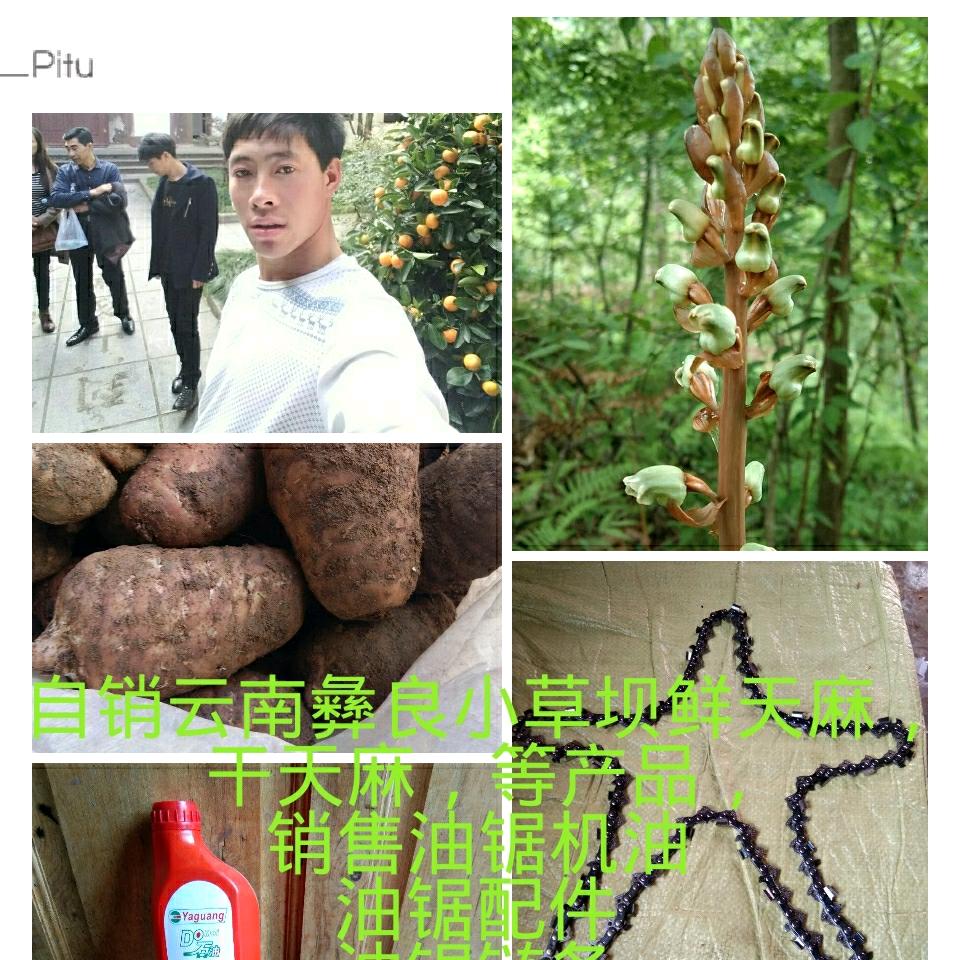 陈师，天麻，水电吊顶，油锯配件