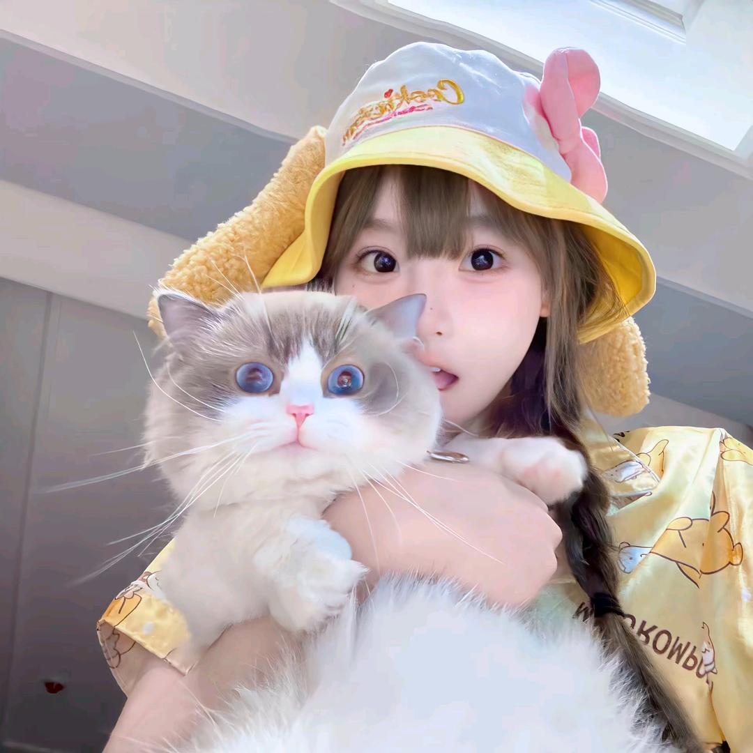 小y