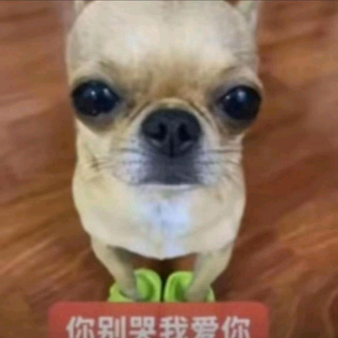 忘本打爆你头՞˶･֊･˶՞