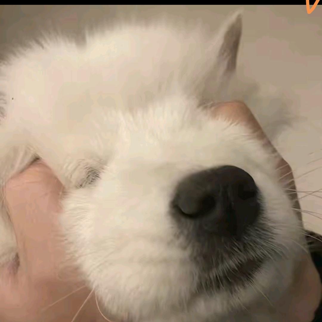 郑烦