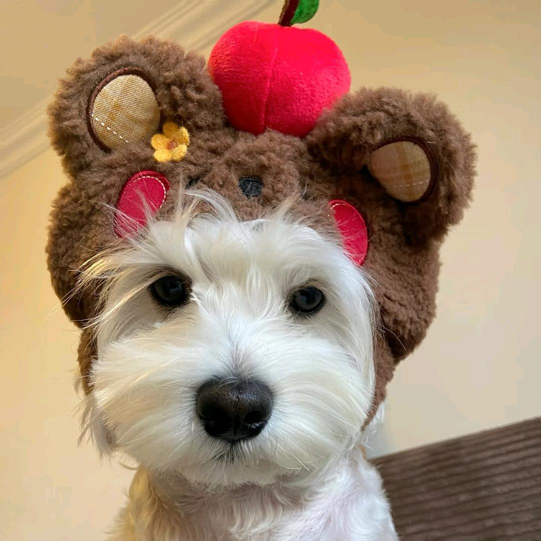 小汤圆儿（拼豆接单版）