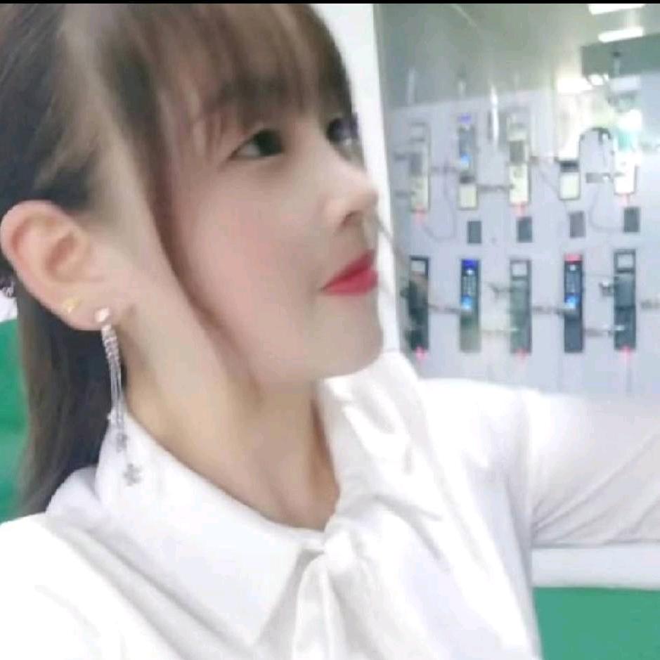 驾考咨询中心小凤凰