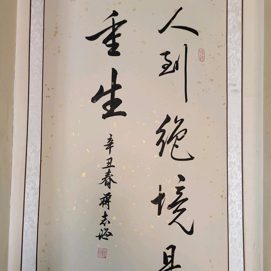 舍得6