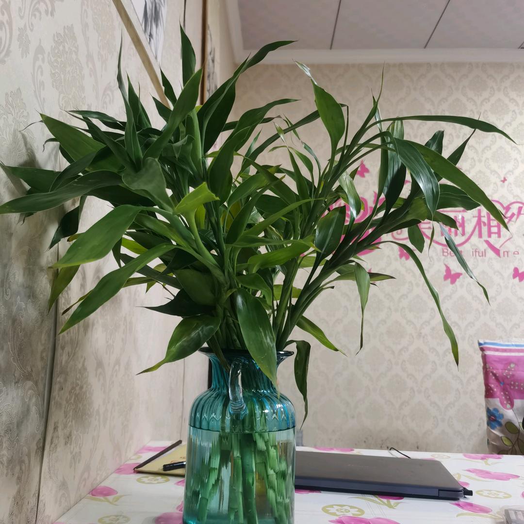 红红火火(≧∇≦)