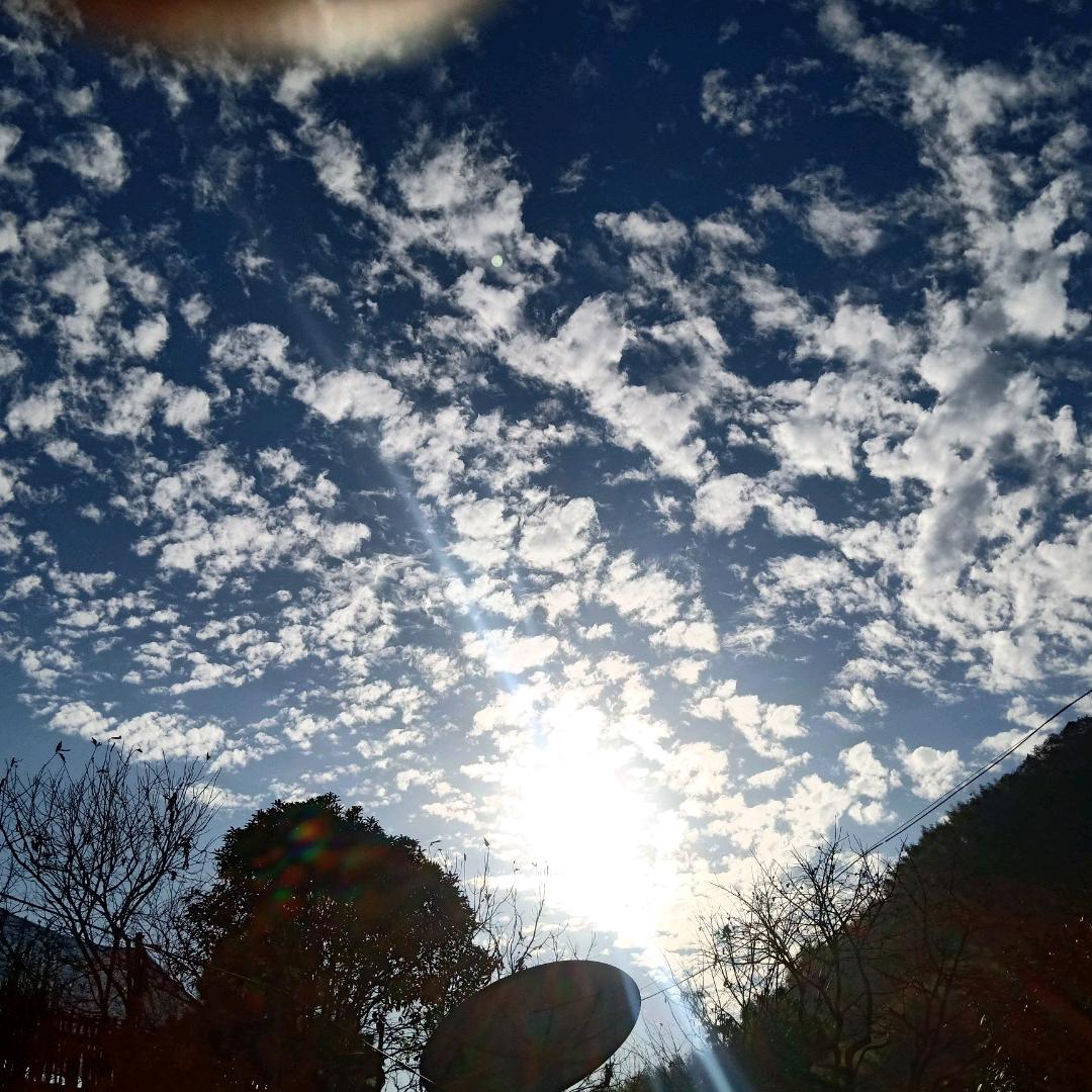 半知半傻半疯癫