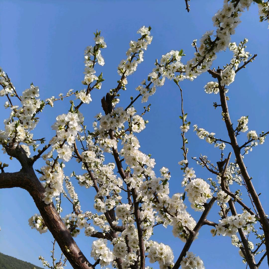 干厨房兔子🐰姐姐