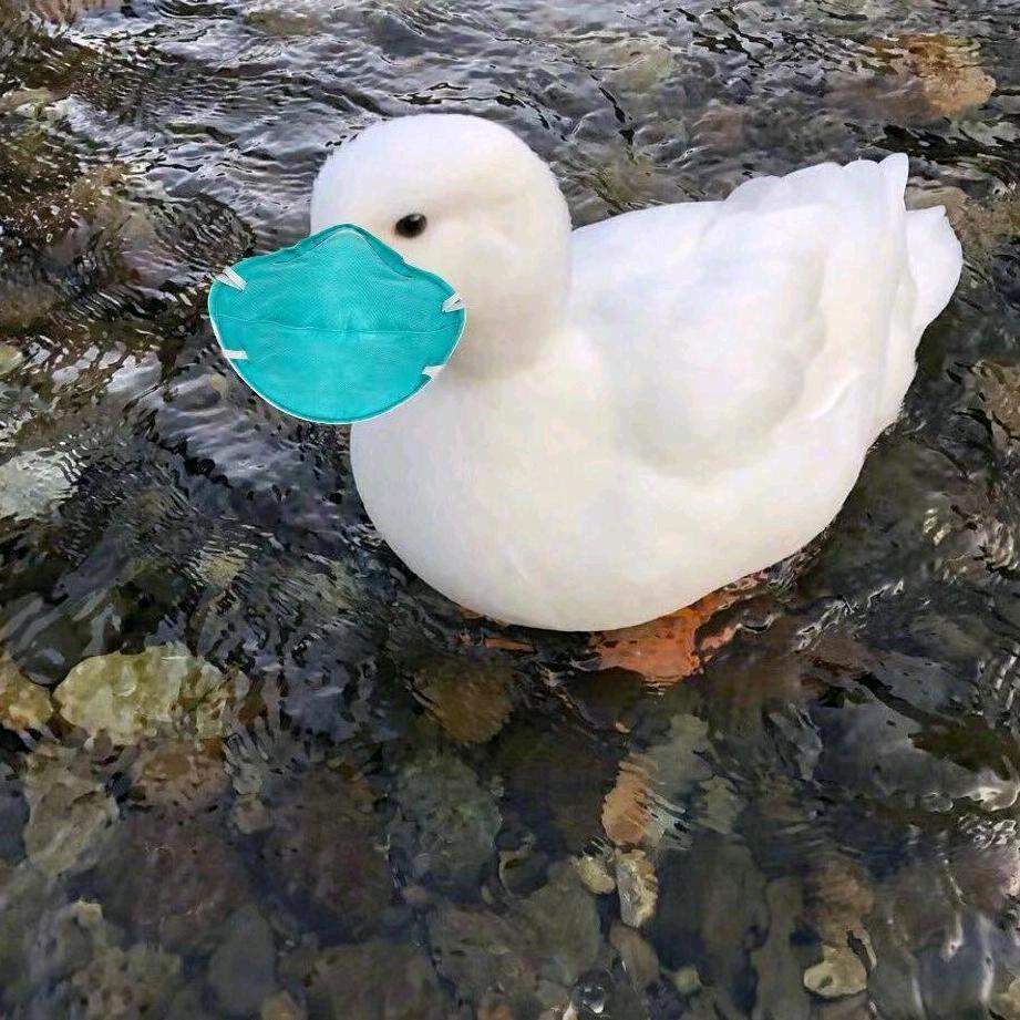 透明心跳流光便利店