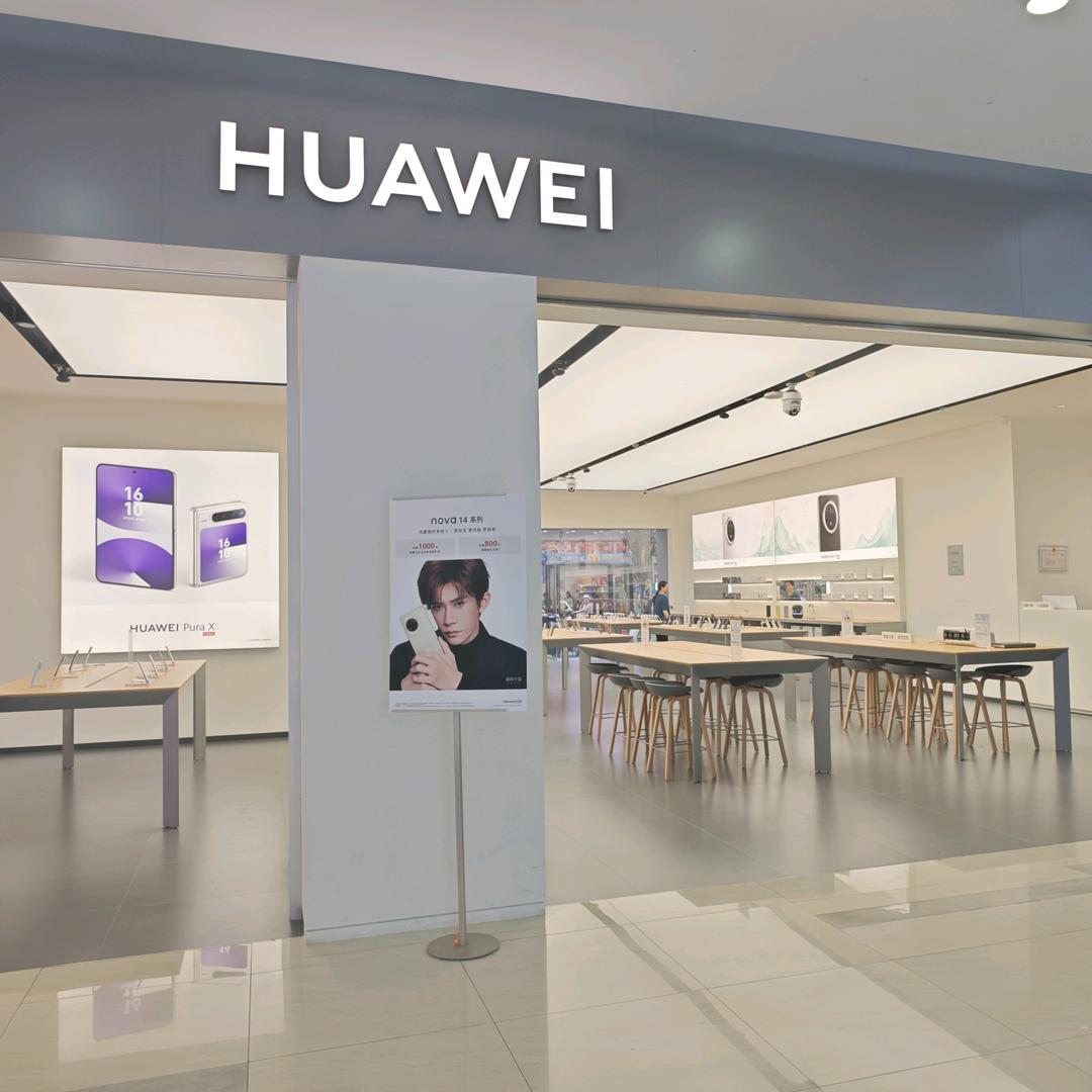 重生之我在武鸣华为卖机（康和城版）