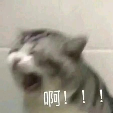 单纯好骗恋爱脑