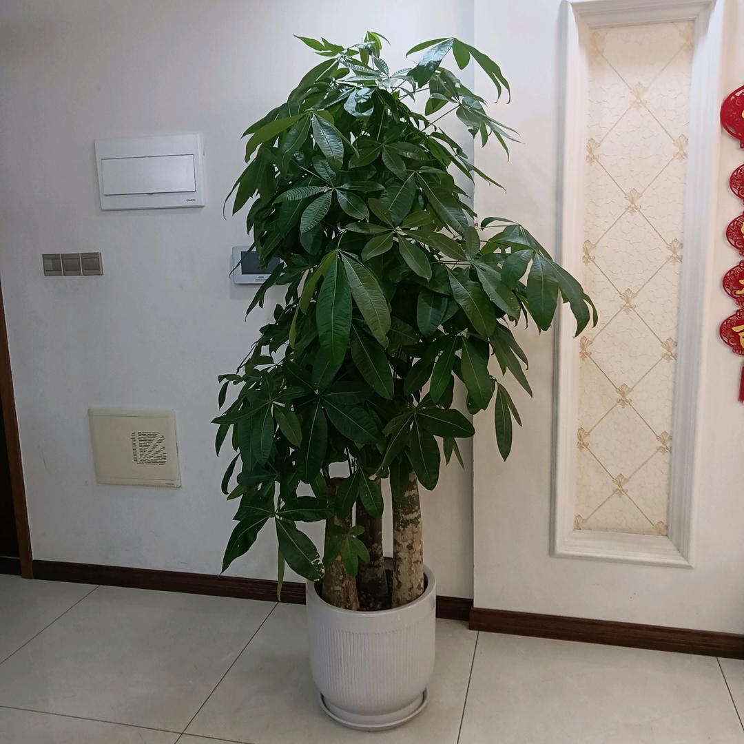 万家丽床头柜